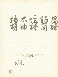 挡不住的思念二胡曲谱简谱