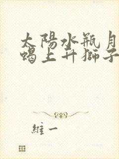 太阳水瓶月亮天蝎上升狮子