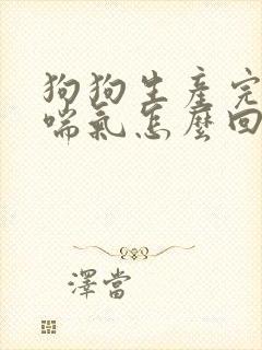 狗狗生产完一直喘气怎么回事