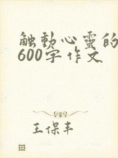 触动心灵的母爱600字作文