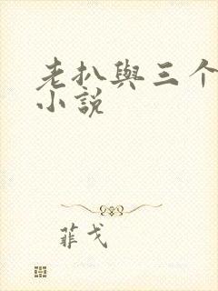 老扒与三个小媳小说