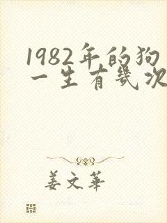 1982年的狗一生有几次婚姻