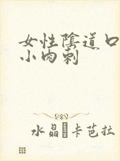 女性阴道口内有小肉刺