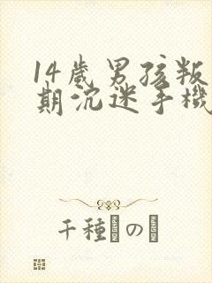 14岁男孩叛逆期沉迷手机怎么管教