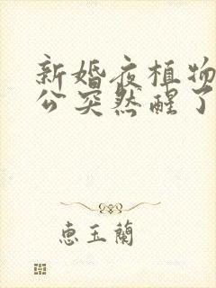 新婚夜植物人老公突然醒了短剧