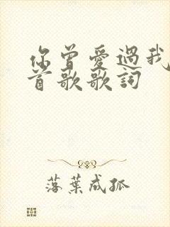 你曾爱过我是哪首歌歌词