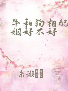 牛和狗相配吗婚姻好不好