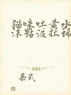 猫咪吐黄水有泡沫粘液拉稀