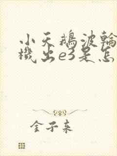 小天鹅波轮洗衣机出e3是怎么回事