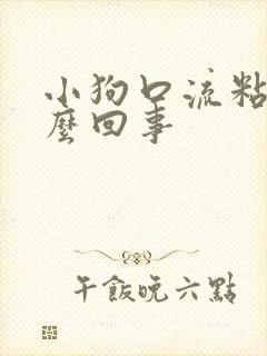 小狗口流粘液怎么回事