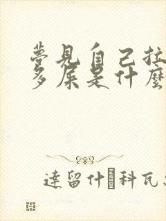 梦见自己拉了好多屎是什么预兆女性