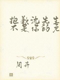 抱歉沈先生孩子不是你的免费