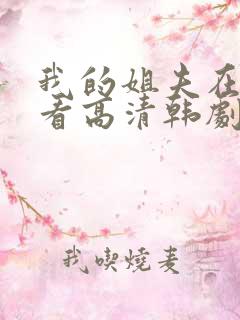 我的姐夫在线观看高清韩剧