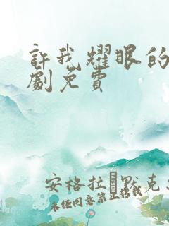 许我耀眼的电视剧免费