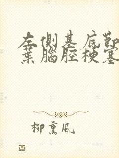 左侧基底节及顶叶脑腔梗塞