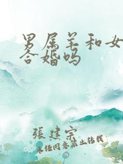 男属羊和女属猴合婚吗