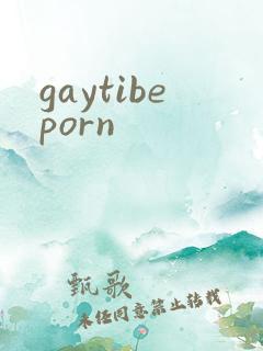 gaytibeporn