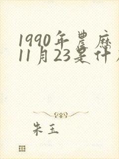 1990年农历11月23是什么星座
