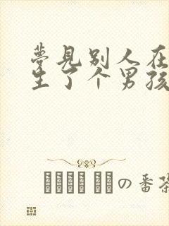 梦见别人在我家生了个男孩