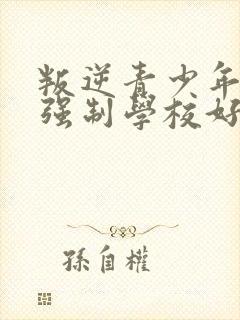 叛逆青少年管教强制学校好的