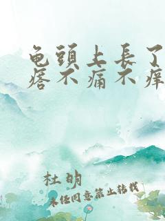 龟头上长了个疙瘩不痛不痒是怎么回事