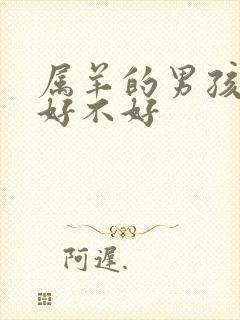 属羊的男孩子命好不好