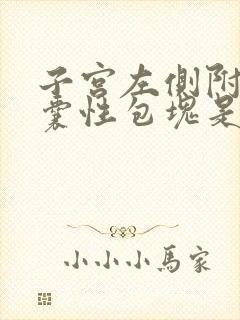 子宫左侧附件区囊性包块是什么意思