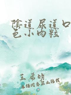 阴道尿道口长白色小肉粒