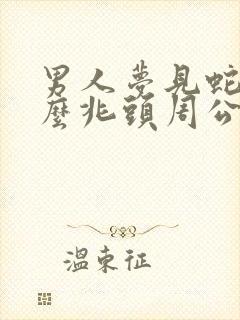 男人梦见蛇是什么兆头周公解梦