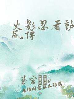 火影忍者动画疾风传