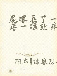 屁眼长了一个疙瘩一碰就疼