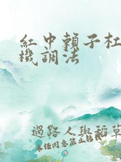 红中赖子杠麻将机调法