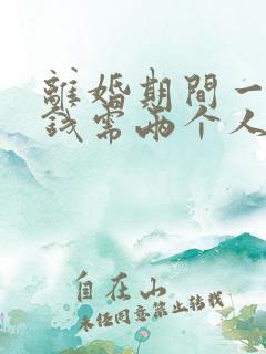 离婚期间一方借钱需两个人共同还吗