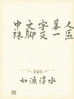 中文字幕人妻丝袜脚交一区三区