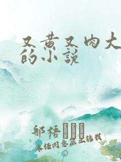 又黄又肉大尺度的小说