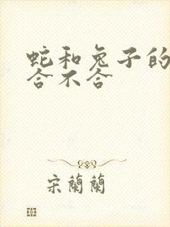 蛇和兔子的属相合不合