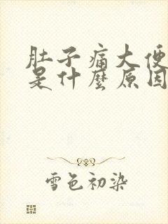 肚子痛大便带血是什么原因