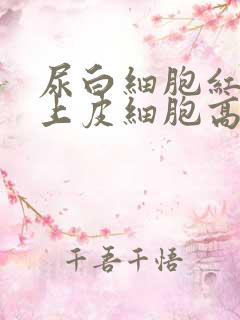 尿白细胞红细胞上皮细胞高