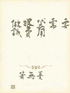 做眼袋需要多少钱费用