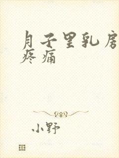 月子里乳房硬块疼痛