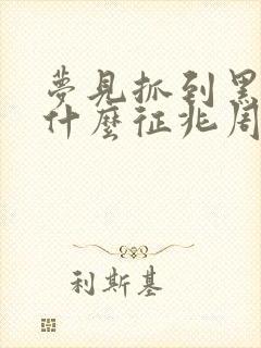 梦见抓到黑鱼是什么征兆周公解梦