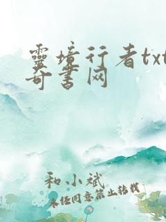 灵境行者txt奇书网