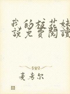 我的校花妹妹小说免费阅读全文