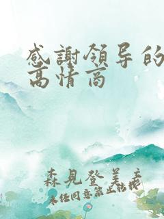 感谢领导的话语高情商