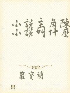 小说主角陈平的小说叫什么