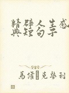 精辟人生感悟经典短句子