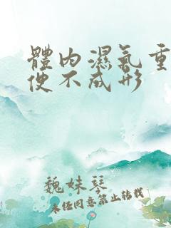 体内湿气重 大便不成形