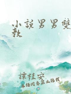 小说男男双性调教