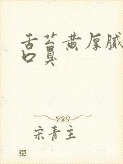 舌苔黄厚腻口苦口臭