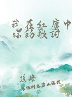 我在红尘中遇见你的歌词